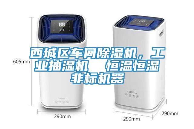 西城區(qū)車間除濕機(jī)，工業(yè)抽濕機(jī)  恒溫恒濕非標(biāo)機(jī)器
