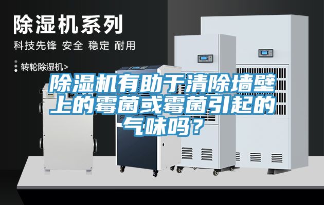 除濕機(jī)有助于清除墻壁上的霉菌或霉菌引起的氣味嗎？