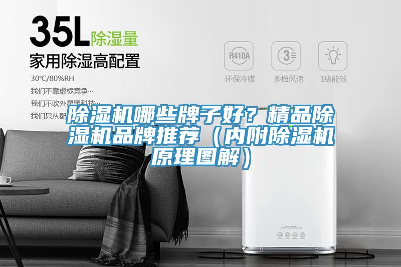 除濕機哪些牌子好？精品除濕機品牌推薦（內附除濕機原理圖解）