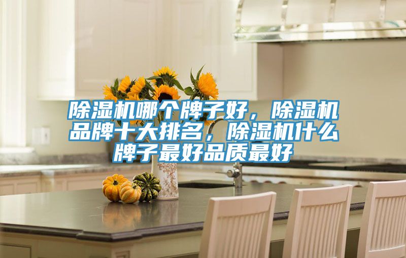 除濕機(jī)哪個(gè)牌子好，除濕機(jī)品牌十大排名，除濕機(jī)什么牌子最好品質(zhì)最好