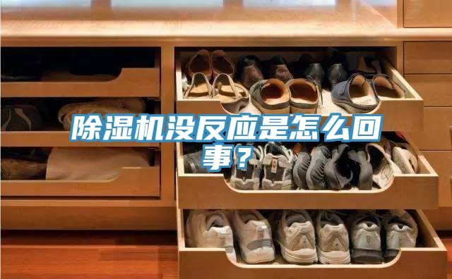 除濕機沒反應(yīng)是怎么回事？