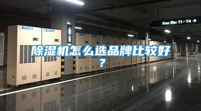 除濕機怎么選品牌比較好？