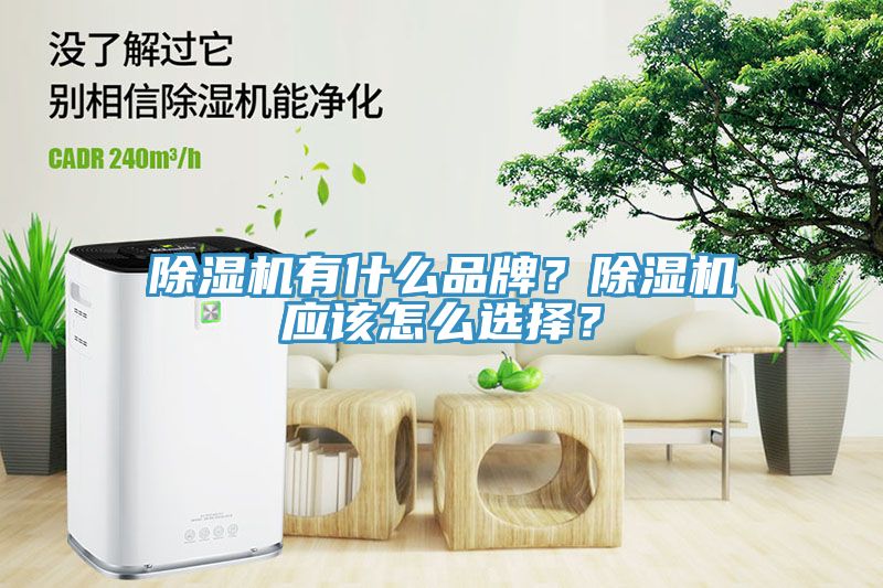 除濕機有什么品牌？除濕機應(yīng)該怎么選擇？