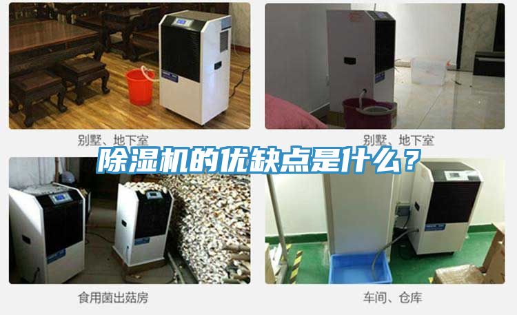 除濕機的優(yōu)缺點是什么？