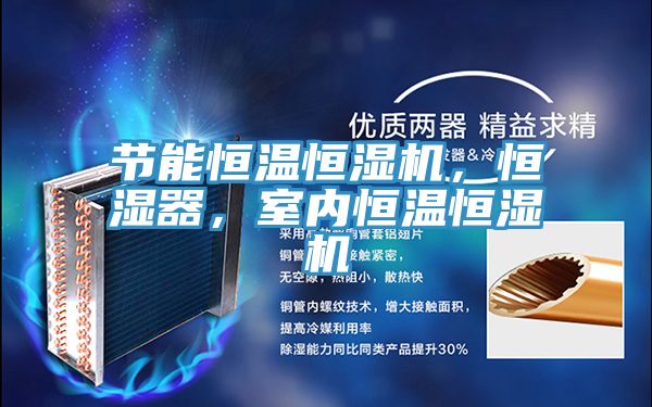 節(jié)能恒溫恒濕機，恒濕器，室內恒溫恒濕機