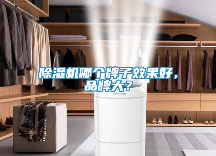 除濕機哪個牌子效果好，品牌大？