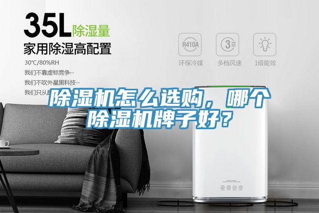 除濕機(jī)怎么選購，哪個除濕機(jī)牌子好？