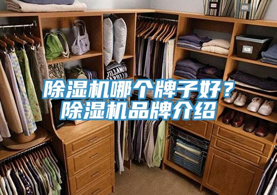 除濕機(jī)哪個(gè)牌子好？除濕機(jī)品牌介紹
