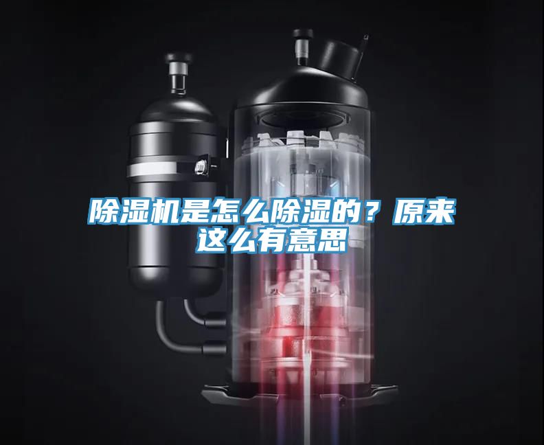 除濕機是怎么除濕的？原來這么有意思