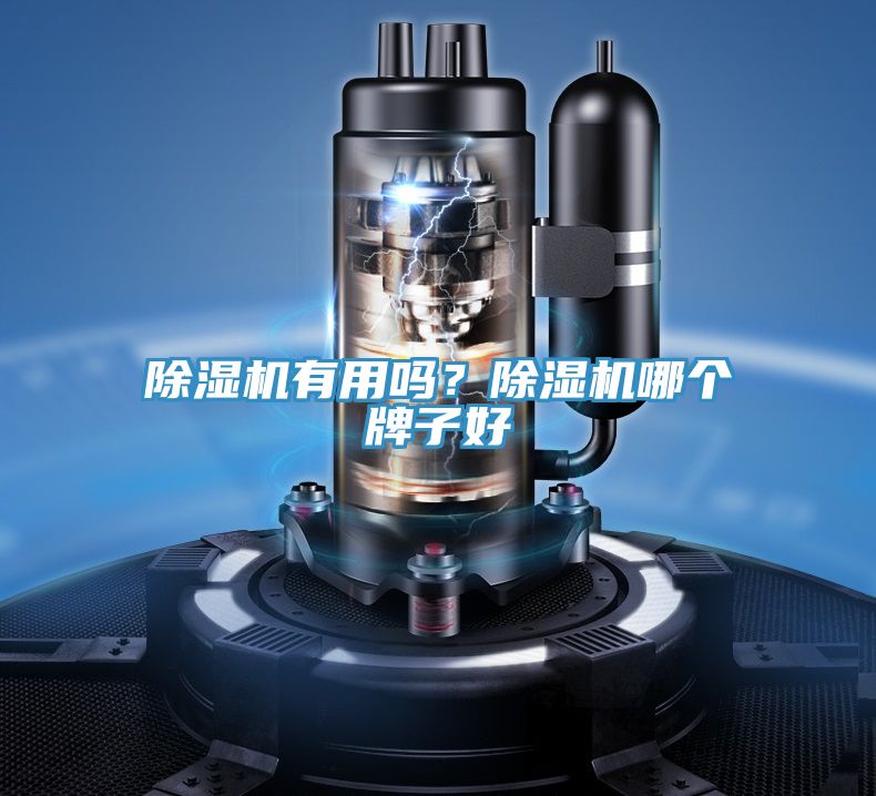 除濕機(jī)有用嗎？除濕機(jī)哪個牌子好