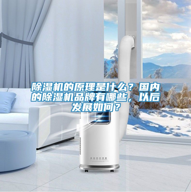除濕機的原理是什么？國內(nèi)的除濕機品牌有哪些，以后發(fā)展如何？