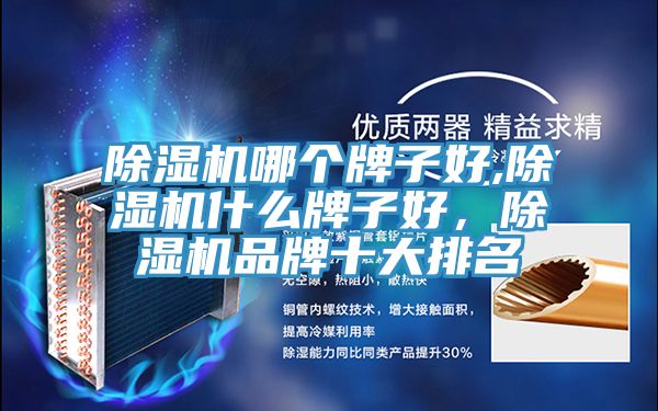 除濕機(jī)哪個(gè)牌子好,除濕機(jī)什么牌子好，除濕機(jī)品牌十大排名