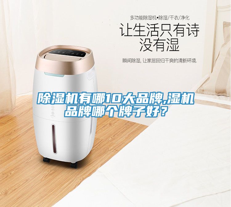 除濕機(jī)有哪10大品牌,濕機(jī)品牌哪個(gè)牌子好？