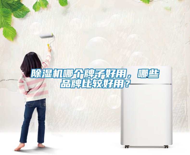 除濕機(jī)哪個(gè)牌子好用，哪些品牌比較好用？