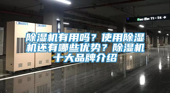 除濕機(jī)有用嗎？使用除濕機(jī)還有哪些優(yōu)勢？除濕機(jī)十大品牌介紹