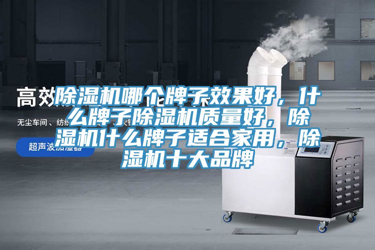 除濕機哪個牌子效果好，什么牌子除濕機質量好，除濕機什么牌子適合家用，除濕機十大品牌