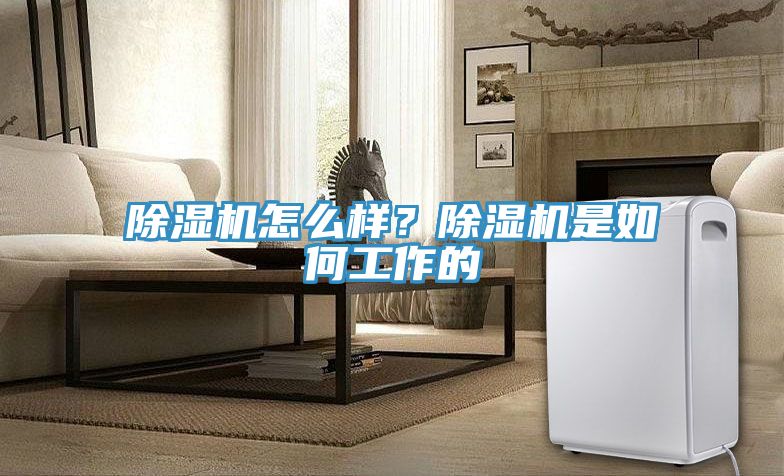 除濕機怎么樣？除濕機是如何工作的