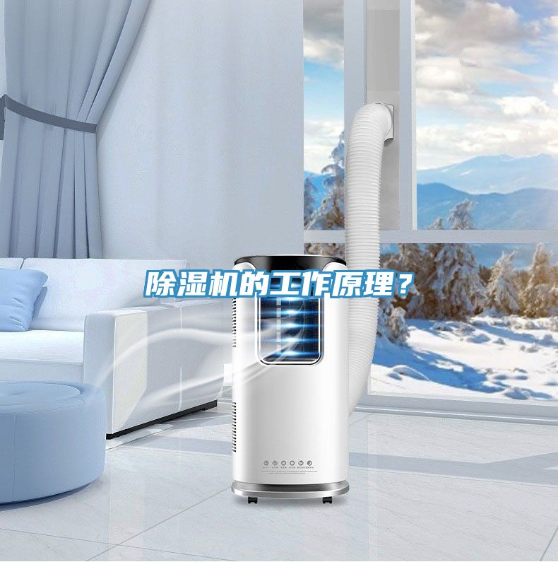 除濕機(jī)的工作原理？