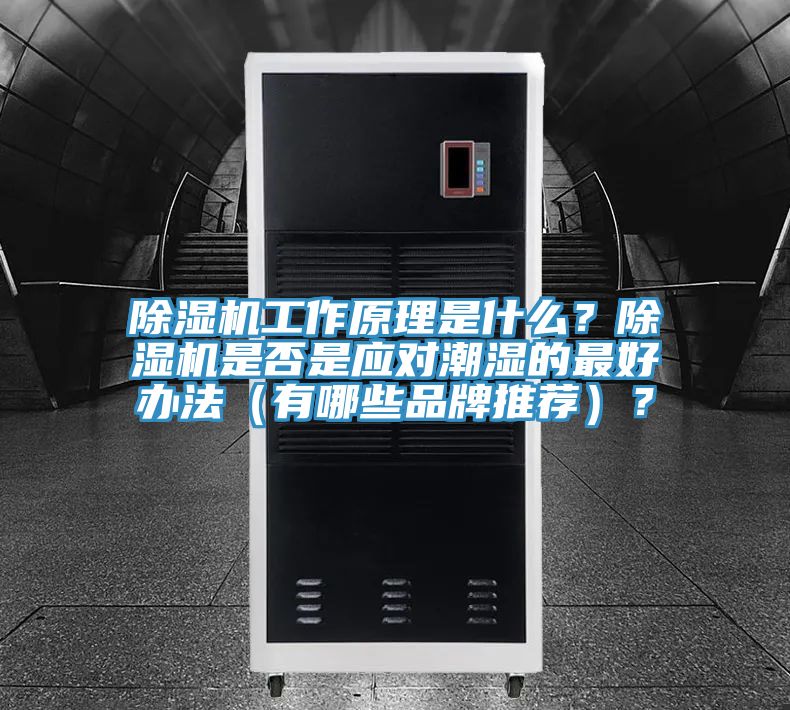 除濕機(jī)工作原理是什么？除濕機(jī)是否是應(yīng)對潮濕的最好辦法（有哪些品牌推薦）？