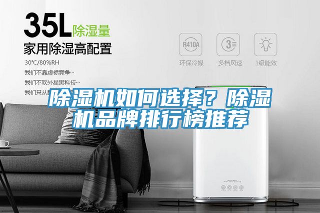 除濕機(jī)如何選擇？除濕機(jī)品牌排行榜推薦