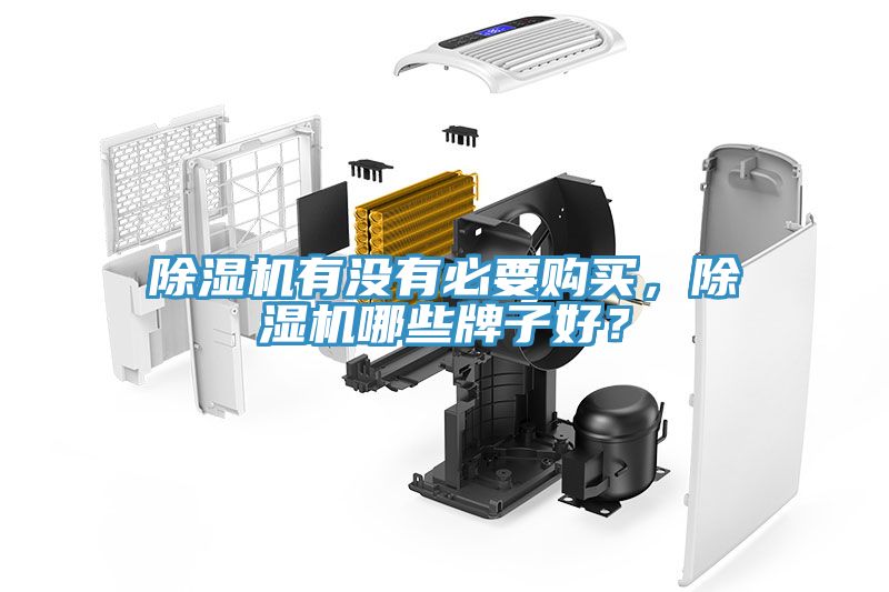 除濕機(jī)有沒有必要購買，除濕機(jī)哪些牌子好？