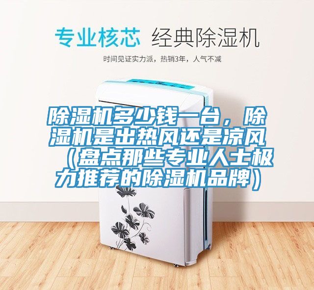 除濕機(jī)多少錢(qián)一臺(tái)，除濕機(jī)是出熱風(fēng)還是涼風(fēng)（盤(pán)點(diǎn)那些專(zhuān)業(yè)人士極力推薦的除濕機(jī)品牌）
