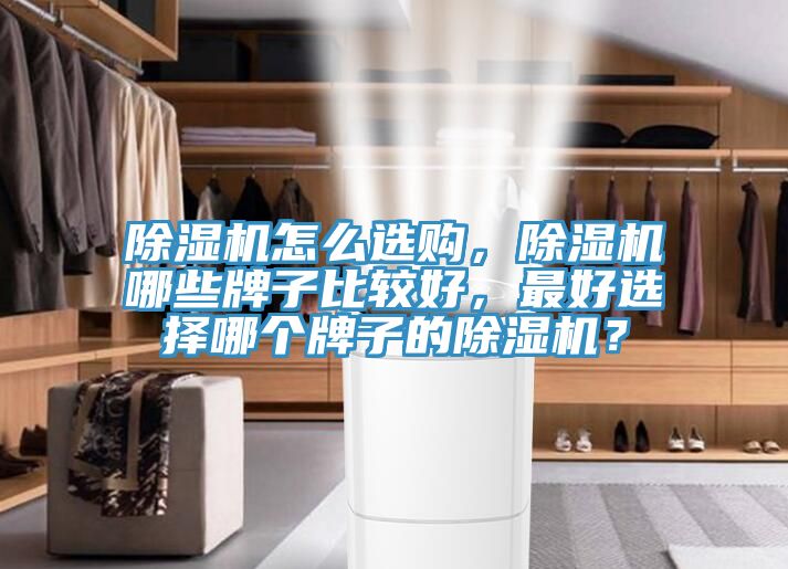除濕機(jī)怎么選購，除濕機(jī)哪些牌子比較好，最好選擇哪個牌子的除濕機(jī)？