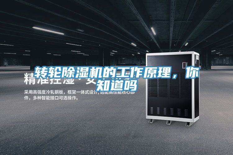 轉(zhuǎn)輪除濕機的工作原理，你知道嗎