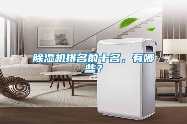 除濕機(jī)排名前十名，有哪些？