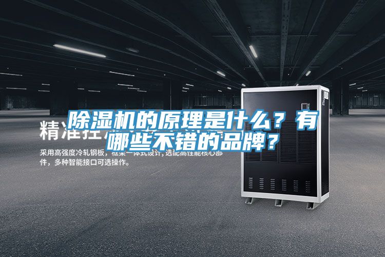 除濕機的原理是什么？有哪些不錯的品牌？