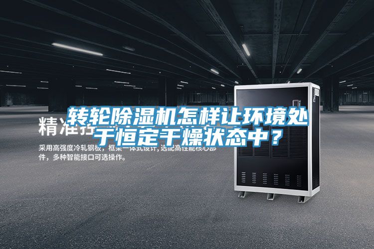 轉輪除濕機怎樣讓環(huán)境處于恒定干燥狀態(tài)中？