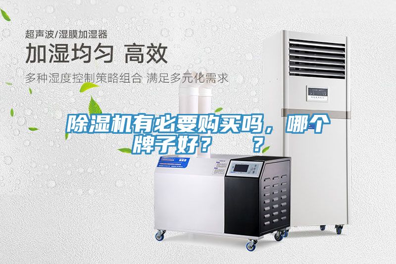 除濕機(jī)有必要購買嗎，哪個牌子好？  ？
