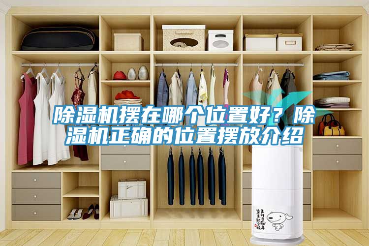 除濕機(jī)擺在哪個位置好？除濕機(jī)正確的位置擺放介紹