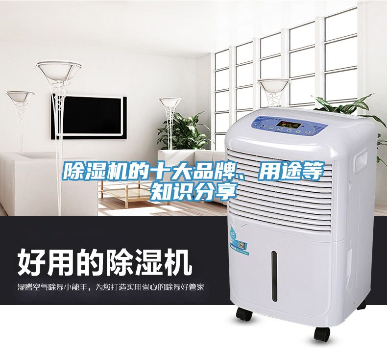 除濕機(jī)的十大品牌、用途等知識分享