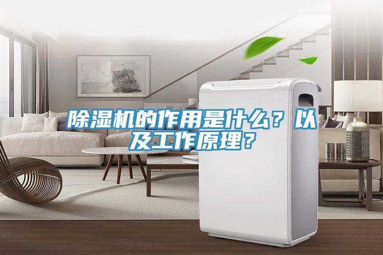 除濕機(jī)的作用是什么？以及工作原理？