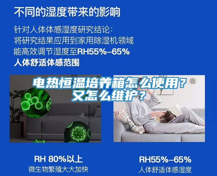 電熱恒溫培養(yǎng)箱怎么使用？又怎么維護(hù)？