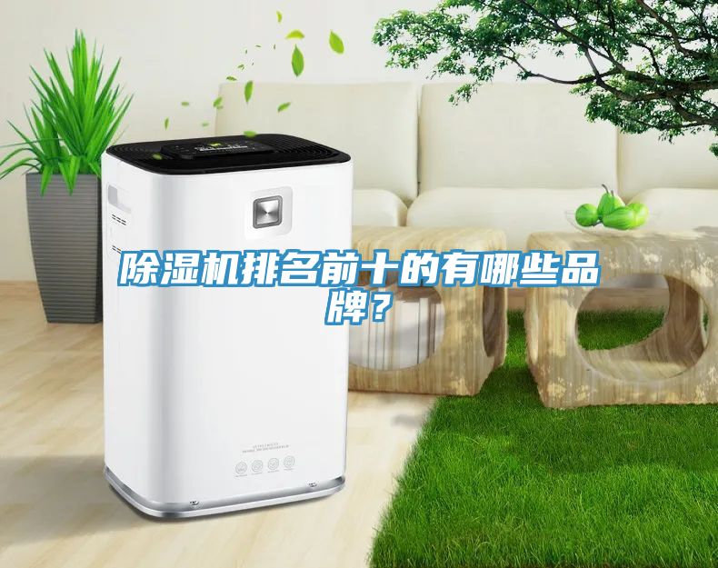 除濕機(jī)排名前十的有哪些品牌？
