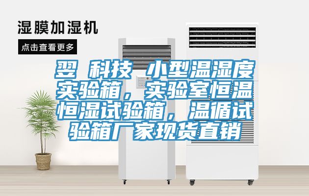 翌昇科技 小型溫濕度實驗箱，實驗室恒溫恒濕試驗箱，溫循試驗箱廠家現(xiàn)貨直銷