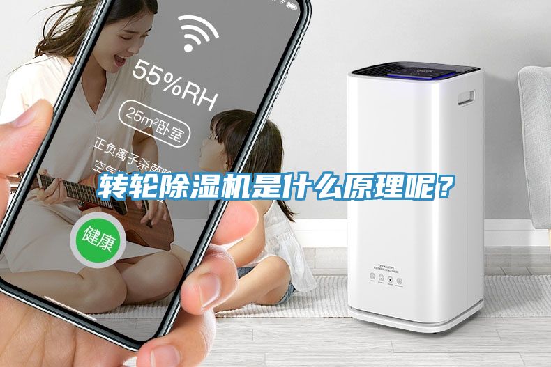 轉(zhuǎn)輪除濕機是什么原理呢？