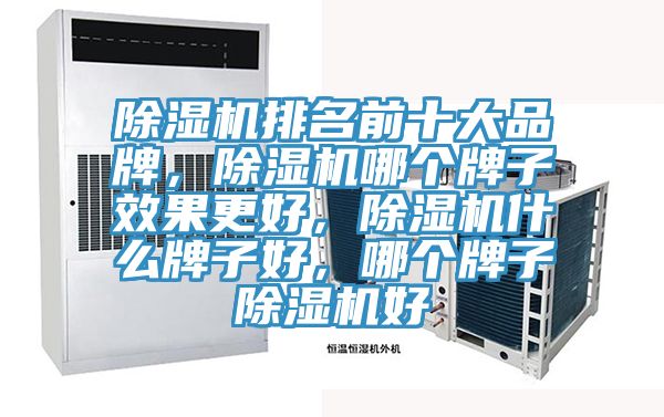 除濕機(jī)排名前十大品牌，除濕機(jī)哪個(gè)牌子效果更好，除濕機(jī)什么牌子好，哪個(gè)牌子除濕機(jī)好