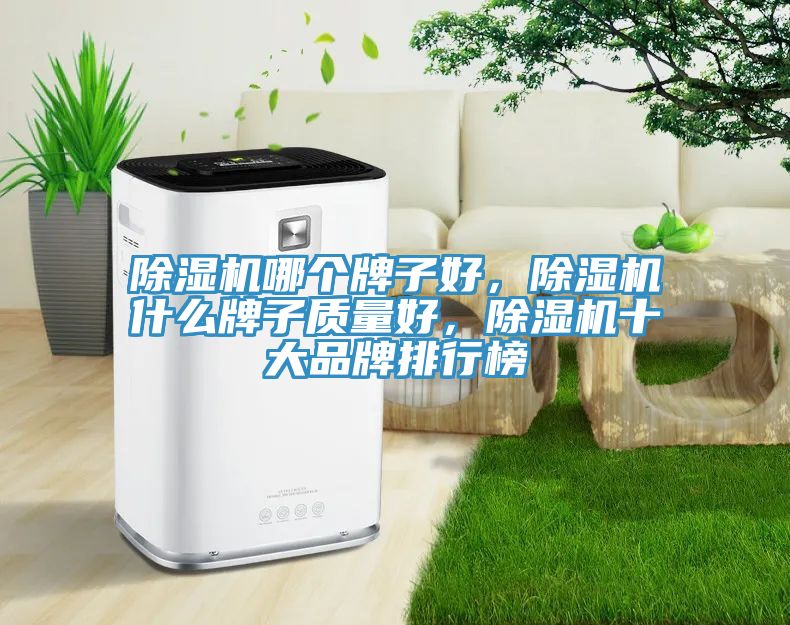 除濕機(jī)哪個(gè)牌子好，除濕機(jī)什么牌子質(zhì)量好，除濕機(jī)十大品牌排行榜