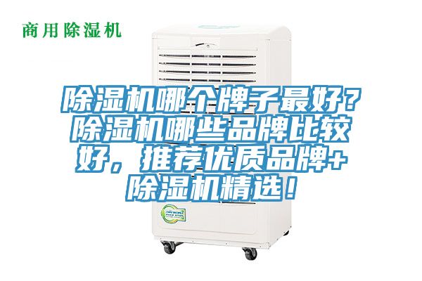 除濕機哪個牌子最好？除濕機哪些品牌比較好，推薦優(yōu)質品牌+除濕機精選！