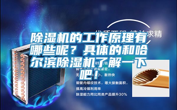 除濕機(jī)的工作原理有哪些呢？具體的和哈爾濱除濕機(jī)了解一下吧！