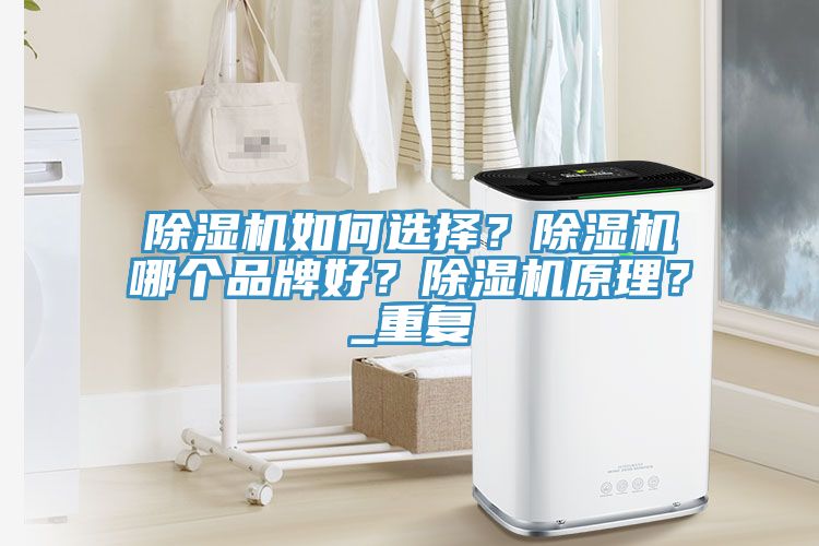 除濕機(jī)如何選擇？除濕機(jī)哪個(gè)品牌好？除濕機(jī)原理？_重復(fù)