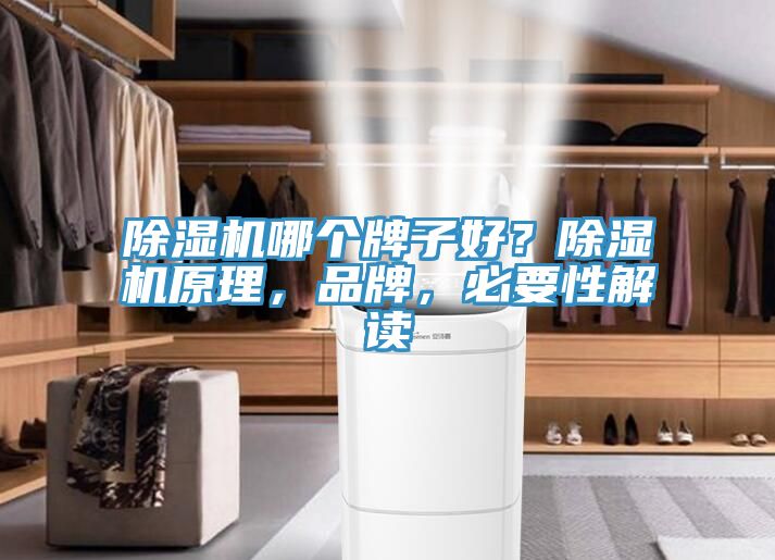 除濕機(jī)哪個(gè)牌子好？除濕機(jī)原理，品牌，必要性解讀