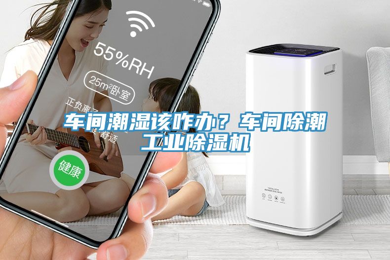 車間潮濕該咋辦？車間除潮工業(yè)除濕機