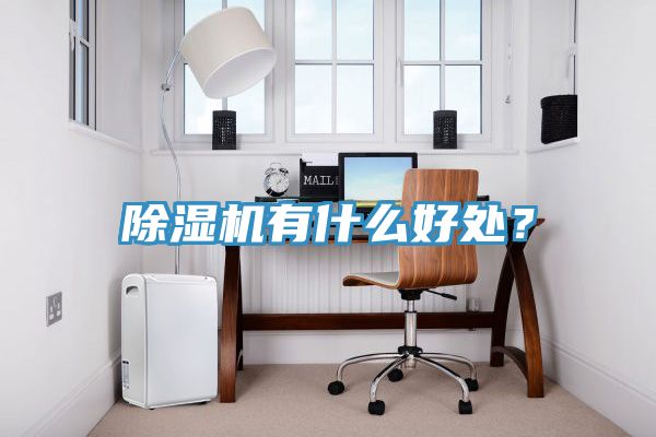 除濕機(jī)有什么好處？