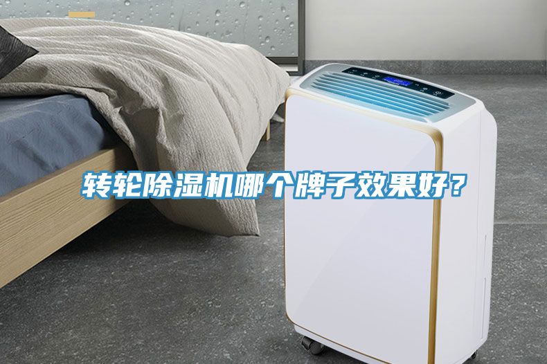 轉(zhuǎn)輪除濕機哪個牌子效果好？