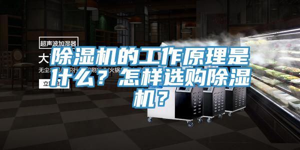 除濕機(jī)的工作原理是什么？怎樣選購除濕機(jī)？
