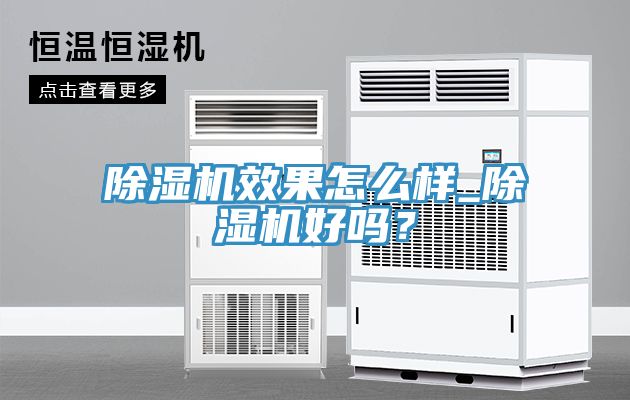 除濕機(jī)效果怎么樣_除濕機(jī)好嗎？